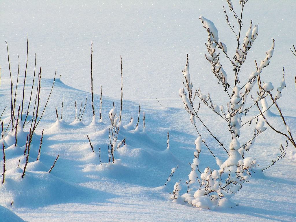 snow dream meaning