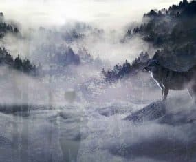 chase dream meaning