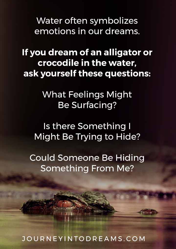 What If Our Dreams Are Right And >> Alligator And Crocodile Dream Meaning Interpretation Journeyintodreams What If Our Dreams Are Right And >> Alligator And Crocodile Dream Meaning Interpretation Journeyintodreams